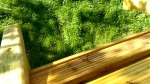 Лавочка из террасной доски своими руками