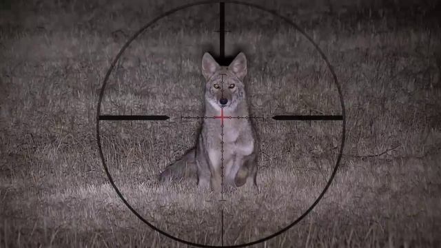 Охотник снайпером смотреть онлайн