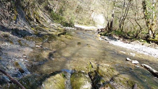 ПЕРЕЕЗД В КРАСНОДАР КАВКАЗ РАСЦВЕТАЕТ!!! смотреть онлайн