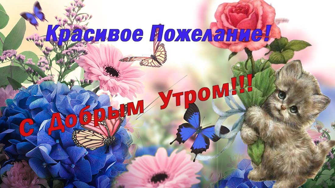 Хорошего дня!