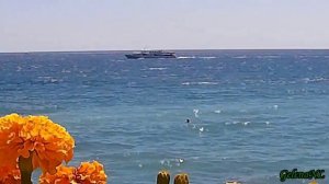 МОРЕ  муз и стихи Григорий Смоляков(0)