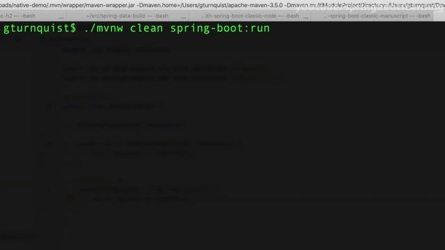 SPRING NATIVE app crashing? Try THIS!