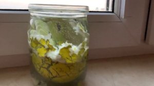 Насекомое ?  из яйца. Игрушка из Фикс Прайс в деле