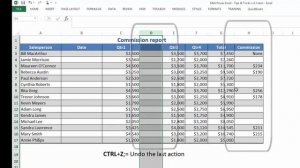 Learn how to use Microsoft Excel KeyBoard ShortCut Ctrl Z