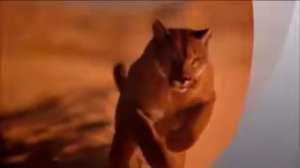 ВАЙ АМАН  НА РУССКОМ ОТ BLACK SYSTEM