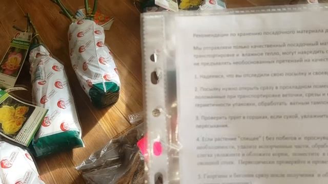 Распаковка посылки с саженцами роз из интернет магазина ! смотреть онлайн