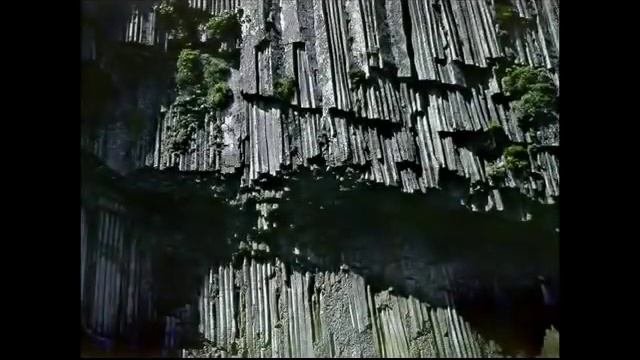 Гигантские допотопные деревья на Земле смотреть онлайн