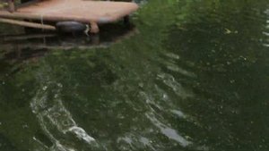Лодочный Электромотор из колеса гироскутера, испытание.