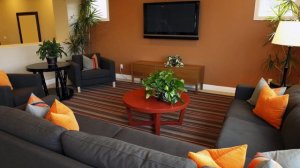 СОЧЕТАЕМ ПРИРОДНЫЕ ЦВЕТА И ОТТЕНКИ ОСЕНИ в кухне, гостиной, спальне ДЛЯ УЮТА