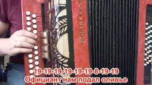МЕТЕЛИЦА / Разбор на гармони по цифрам