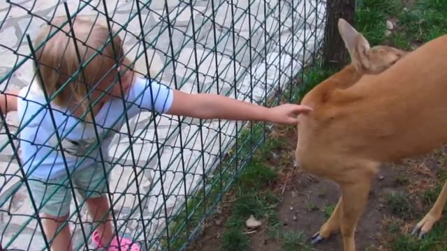 Олененок БЭМБИ и КРОЛИК РОДЖЕР: прикольный рассказ голосом детей ? смотреть онлайн