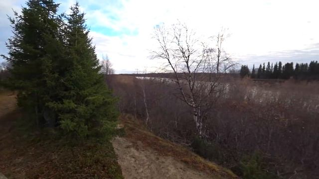 ОХОТА НА КУРОПАТОК В НЕНЕЦКОЙ ТУНДРЕ / ОХОТА НА КРАЮ ЗЕМЛИ / Grouse Hunting