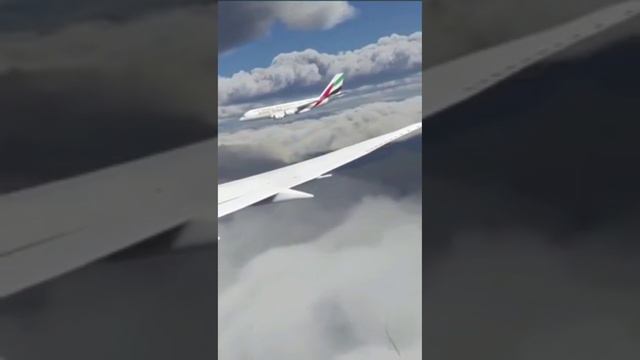 Это было близко смотреть онлайн