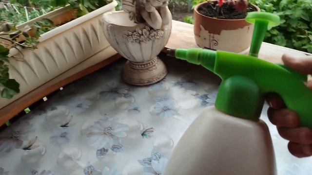 И вновь опрыскивание!!