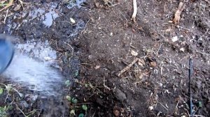 Подготавливаем грядки к зиме не перекапывая