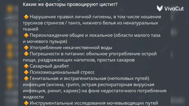 Мочевыделительная система. Я в университете МУНН. смотреть онлайн