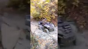 Cf moto x8 vs x6