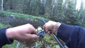 Ловлю щуку в микроречке. Рыбалка на малой реке в Ленинградской области.