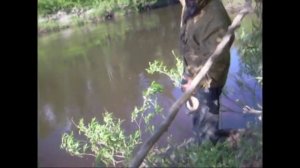 Вот это рыбалка в Коми! Окунь.