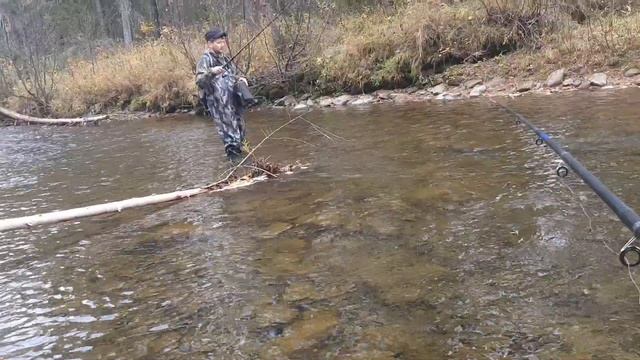 Рыбалка на хариуса бешеный клев/Якутская тиролька в деле! смотреть онлайн