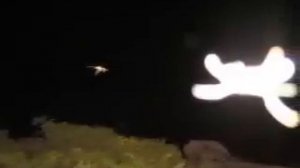 Реальные феи