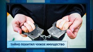Тайно похитил чужое имущество