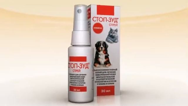 Апи-Сан.wmv смотреть онлайн