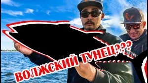 ЧТО Я ПОЙМАЛ!? ПОВЕЗЛО ТАК ПОВЕЗЛО! ЛОВЛЯ СУДАКА НА ВОЛГЕ | Новые катушки Savage Gear!