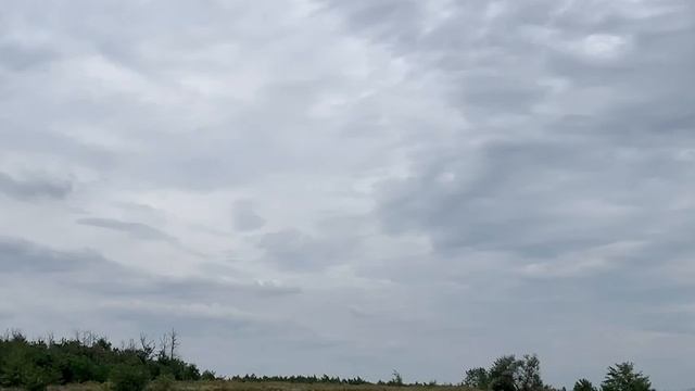 Открытие Охоты 2021 на Утку .Охота с Курцхааром и ружьём ТОЗ-54. ЛУЧШИЕ МОМЕНТЫ И ВЫСТРЕЛЫ НА ОХОТЕ