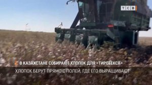 В Казахстане собирают хлопок для «Тиротекса»