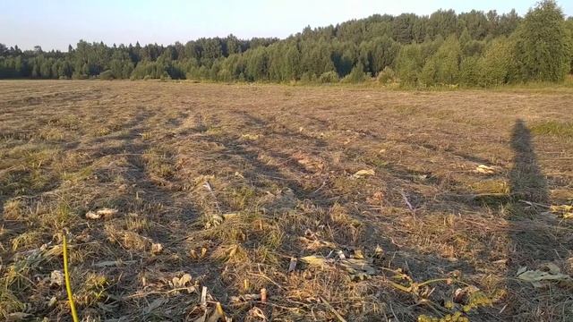 Борьба с борщивиком, начало! смотреть онлайн