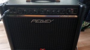 Peavey Envoy 110 red stripe