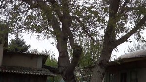 СТОИТ ЛИ ПОКУПАТЬ СТАВМАШ / СУП С БЫЧКАМИ / МОИ ПАПА И МАМА