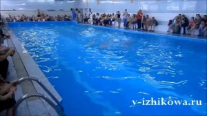 Показательное выступление  по синхронному плаванию.