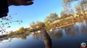 Мормышинг. Новая катушка Dayo PRESTIGE 800