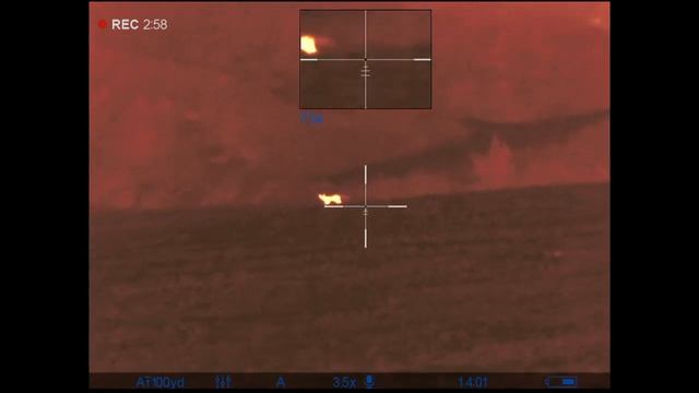 Pulsar Trail 2 XQ LRF Savage 11 22-250 SilencerCo Omega 300 Hornady 50gr V-Max смотреть онлайн