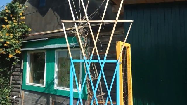 Шпалера вариант 1 смотреть онлайн