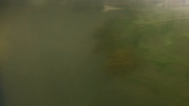 Купель бочка из кольца или ванна на травах с подогревом своими руками. смотреть онлайн