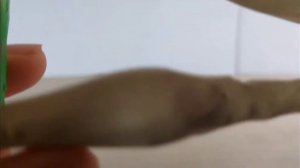 Слепил хищника берсерка из пластилина