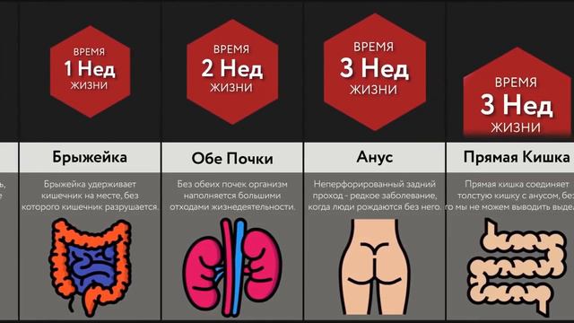 Сколько Ты Проживешь Без Органов смотреть онлайн