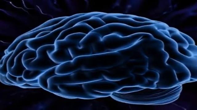 Theta, Gamma, Alpha, Delta, and Beta Waves - Тета-, гамма-, альфа-, дельта- и бета-волны смотреть онлайн