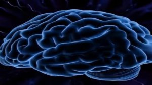 Theta, Gamma, Alpha, Delta, and Beta Waves -  Тета-, гамма-, альфа-, дельта- и бета-волны