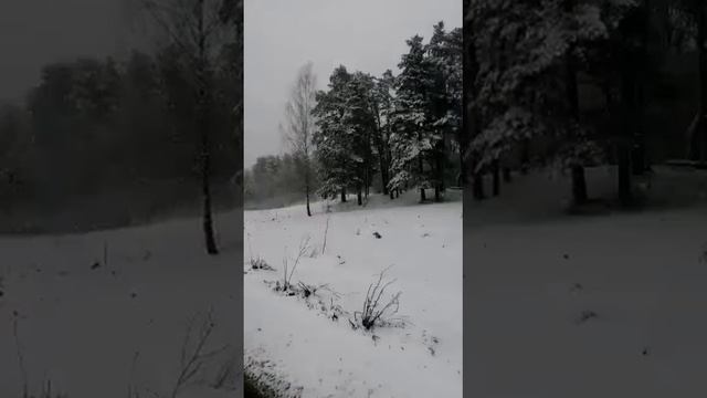 Верея. Снегопад 8-ого апреля.