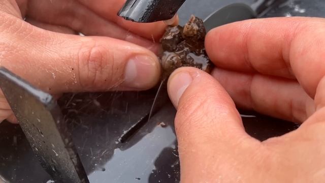 Little Galaxy Stone Cut Open [Geodes & Agates] смотреть онлайн