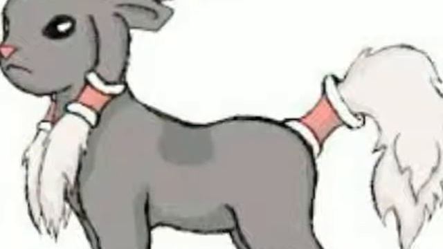 Слайд-шоу про покемонов ,,Иви" смотреть онлайн