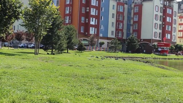 Краснодар для детей 2020. Куда сходить? Немецкая деревня смотреть онлайн