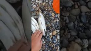 На рыбалки кемерово