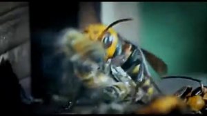 Pantera - Mouth for War