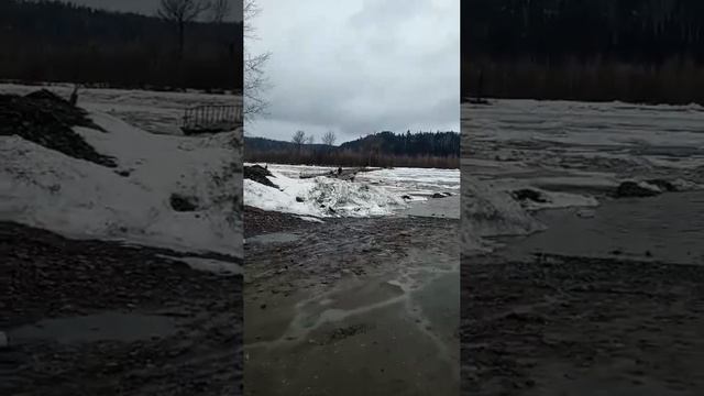 Беспечность чуть не обернулась трагедией.

🌊В районе посёлка Майзас Томь сорвала понтонный мост.