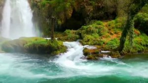 Сура Муззаммиль (закутавшийся) чтец:Омар Хишам Аль Араби